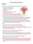 10B Plant Systems Guided Practice