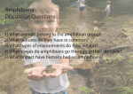 Amphibians Discussion Questions
