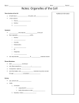 Notes: Organelles of the Cell