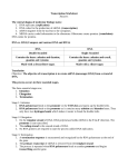 Transcription Worksheet Answers The central