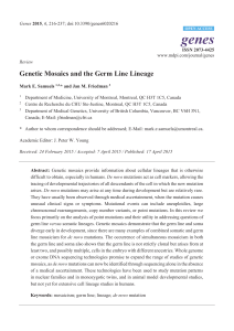 Genetic Mosaics and the Germ Line Lineage
