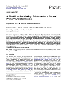 A Plastid in the Making: Evidence for a Second