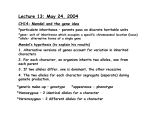 Lecture 13: May 24, 2004
