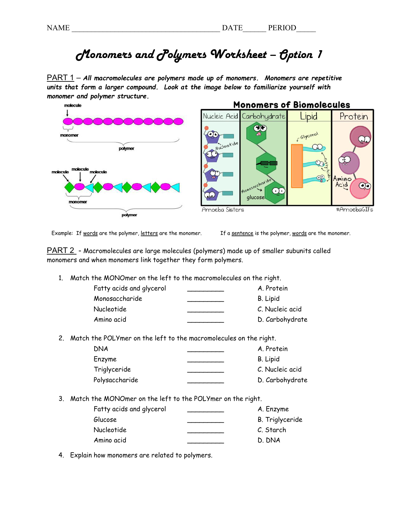 Macromolecules Chart Ap Biology