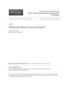 What is the Human Genome Project?