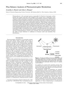 Flux Balance Analysis of Photoautotrophic