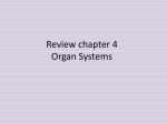 Review chapter 4 Organ Systems