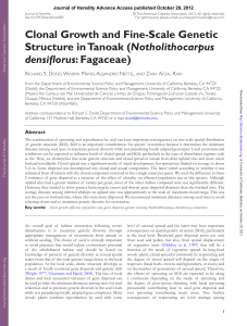 Clonal Growth and Fine-Scale Genetic Structure in Tanoak