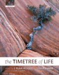 PDF - Timetree.org