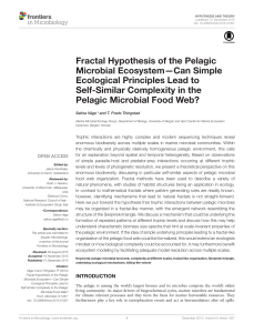 Fractal Hypothesis of the Pelagic Microbial Ecosystem—Can Simple