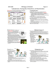 slides in pdf format