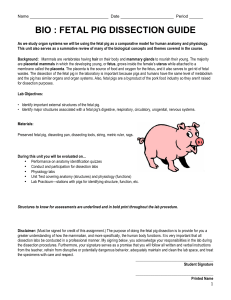 bio : fetal pig dissection guide