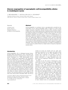 Uneven segregation of sporophytic selfincompatibility alleles in