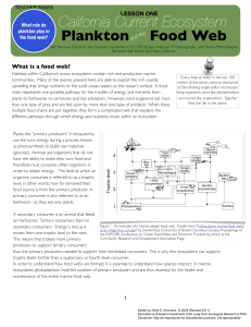 L3_fnl_Plankton Food Web_TEACHER