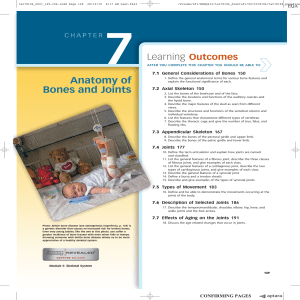 Anatomy of Bones and Joints