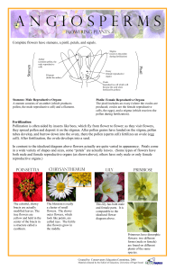 Parts of a Flower.pub