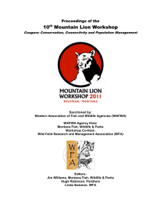 10th Mountain Lion Workshop