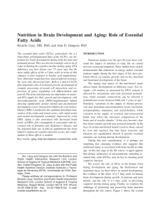 Nutrition in Brain Development and Aging: Role of Essential Fatty