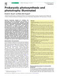 Prokaryotic photosynthesis and phototrophy illuminated