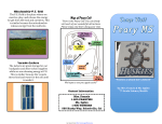 SAMPLE Cell Organelle Travel Brochure