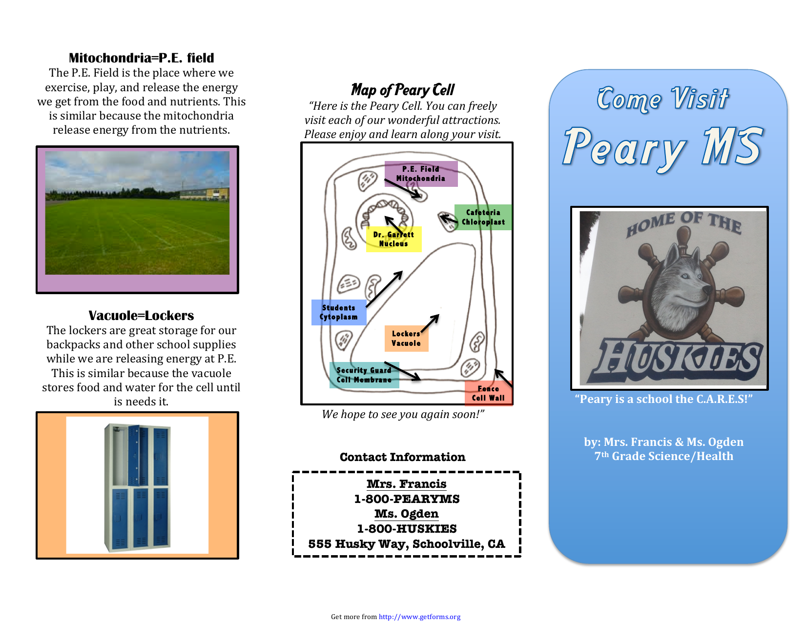 visiting the cell travel brochure