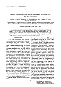 Limited Complexity of the RNA in Micromeres of