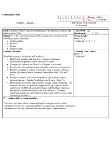 Curriculum Guide Template DRAFT