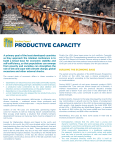 productive capacity - the United Nations
