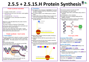 Protein Synthesis Poster