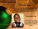 Six Dozen Eggs MERRY CHRISTMAS !