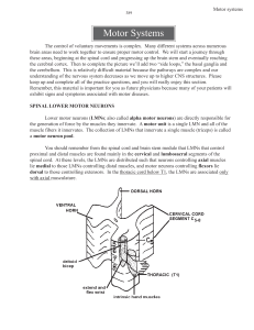 Motor Systems - Neuroanatomy