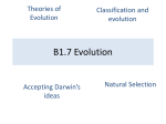 B1.7 Evolution