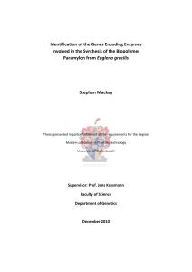 Partial Purifiaction of β-1,3-glucan synthases and