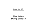 Chapter 10: Respiration During Exercise