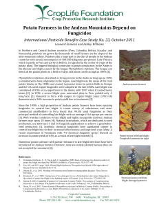 Potato Farmers in the Andean Mountains Depend on