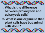 1. What is the difference between prokaryotic and eukaryotic cells? 2