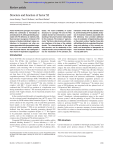 Structure and function of factor XI