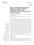 Effect of Different Formulations of Magnesium Chloride Used As