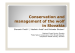 Conservation and management of the wolf in Slovakia
