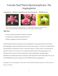 Vascular Seed Plants (Spermatophytes): The Angiosperms