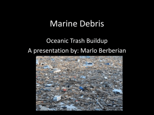 Marine Debris - dsapresents.org