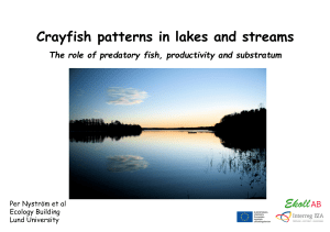 (Microsoft PowerPoint - Per Nystr\366m Fish