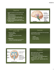 Lecture 5 - Brain I - Linn