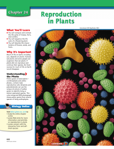 Chapter 24: Reproduction in Plants