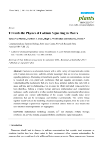 Towards the Physics of Calcium Signalling in Plants