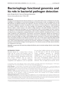 Bacteriophage functional genomics and its role in