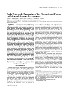 Early Embryonic Expression of Ion Channels and Pumps in Chick