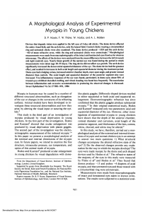 A morphological analysis of experimental myopia in young