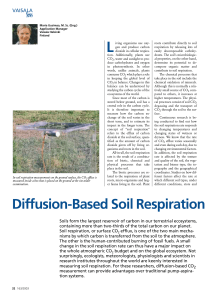 Diffusion-Based Soil Respiration