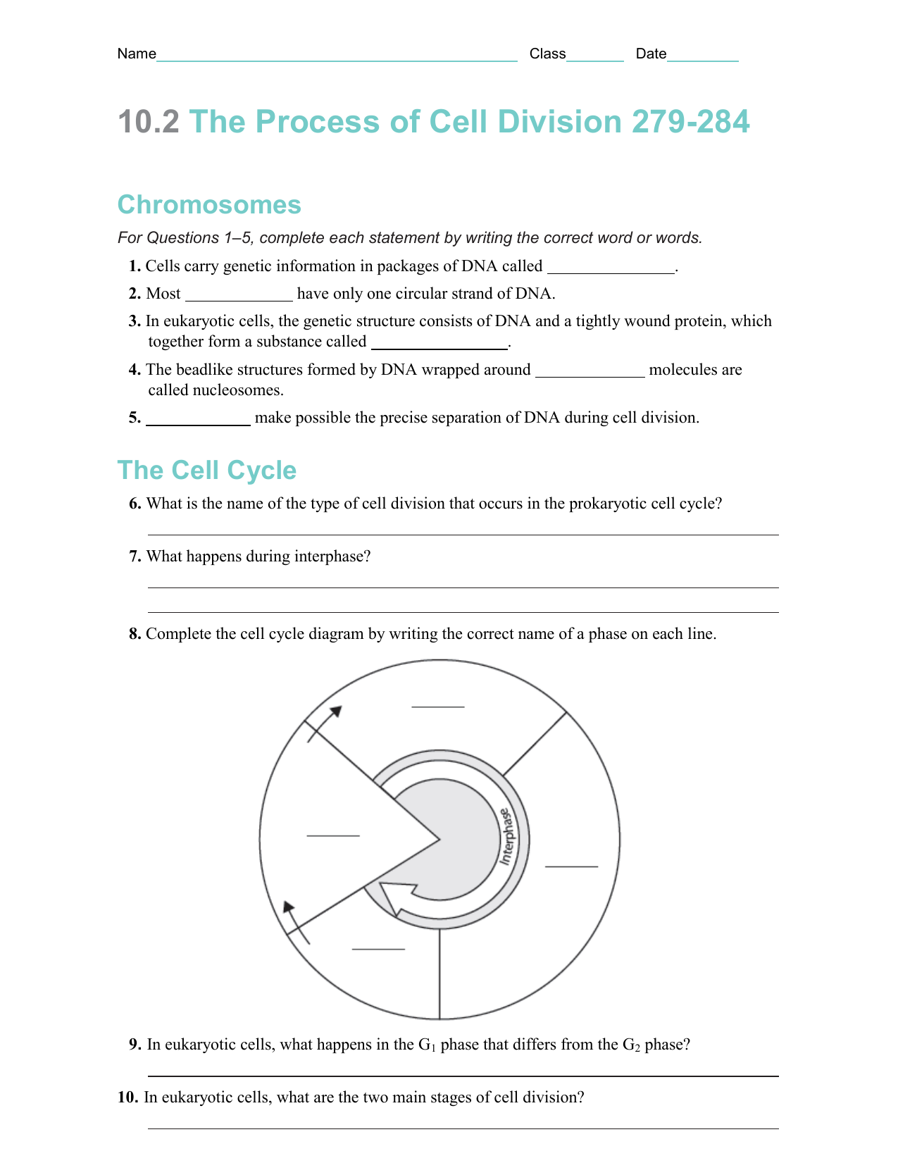 244.24 The Process of Cell Division 2479-2484 In The Cell Cycle Worksheet